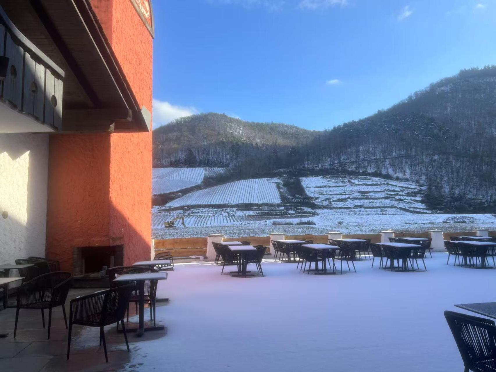 May Hotel Mayschoß エクステリア 写真